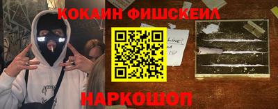 крисы Моздок