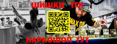 крисы Моздок