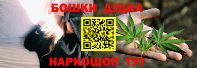 крисы Моздок