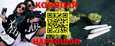 крисы Моздок