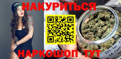 крисы Моздок