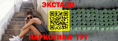 крисы Моздок
