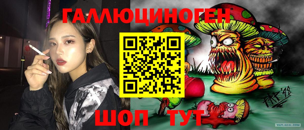 Псилоцибиновые грибы мицелий Чапаевск