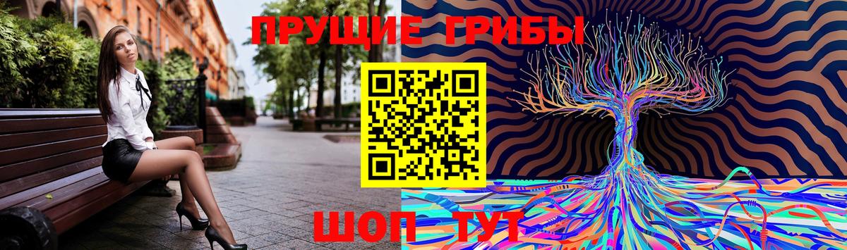 Чапаевск  Псилоцибиновые грибы ЛСД  Вход с VPN 